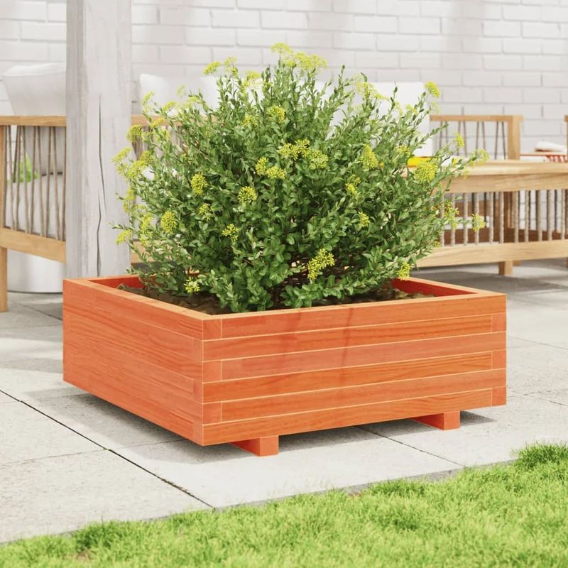 Jardinera De Madera Maciza De Pino Marrón Cera 70x70x26,5 Cm