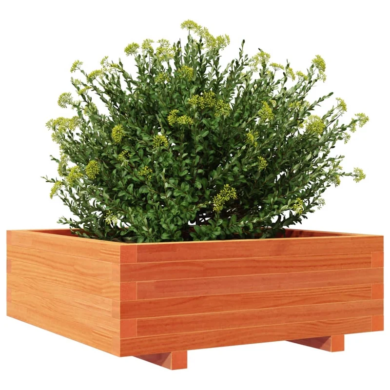 Jardinera De Madera Maciza De Pino Marrón Cera 70x70x26,5 Cm