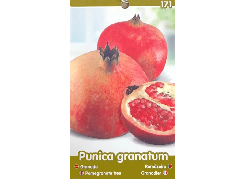 Granado Mollar M25 100cm