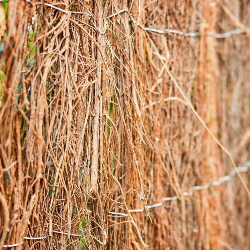 Brezo Ecológico Estándar - Tejido Natural Y Resistente - 1x5 M - Multicolor