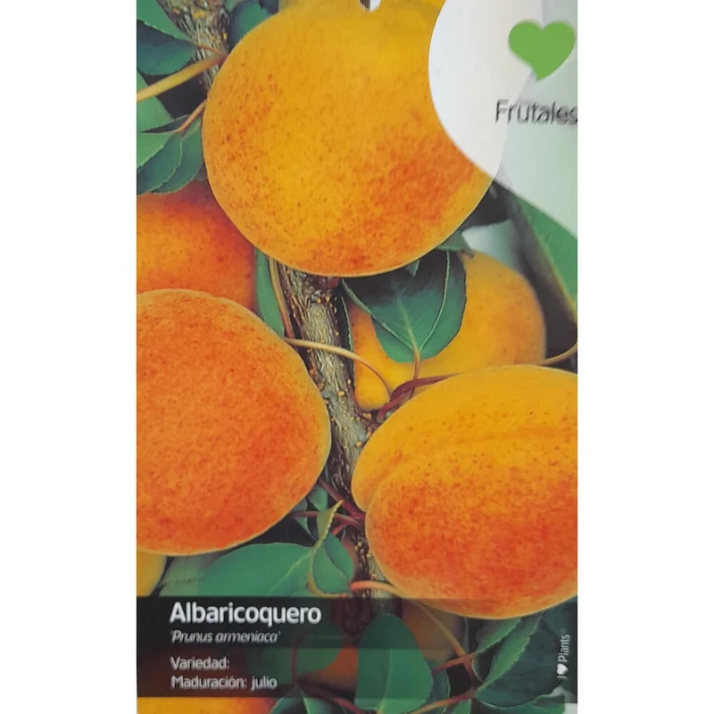 Árbol Frutal Albaricoquero Currot M22 140-150cm