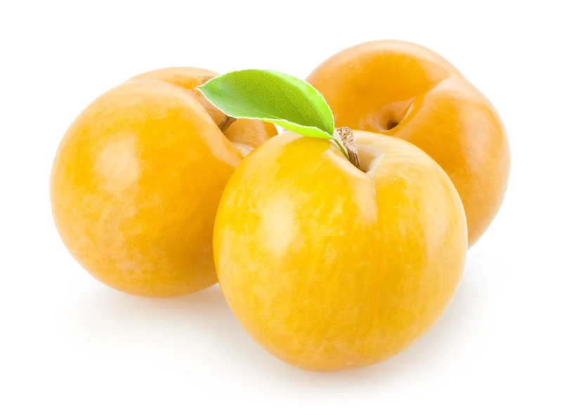 Frutal Ciruelo Golden Japan - Planta Natural - Maceta 26cm. - Altura Aprox. 120/150