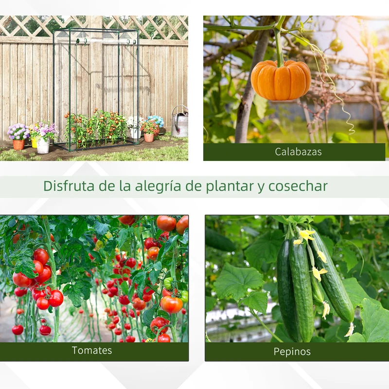 Outsunny Invernadero Con Puerta Enrollable De Acero 100x50x150 Cm Transparente