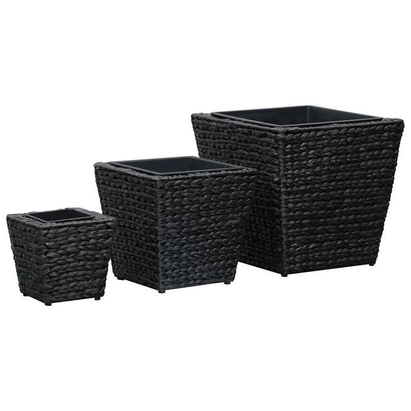 Conjunto De Arriates 3 Piezas Jacinto De Agua Negro