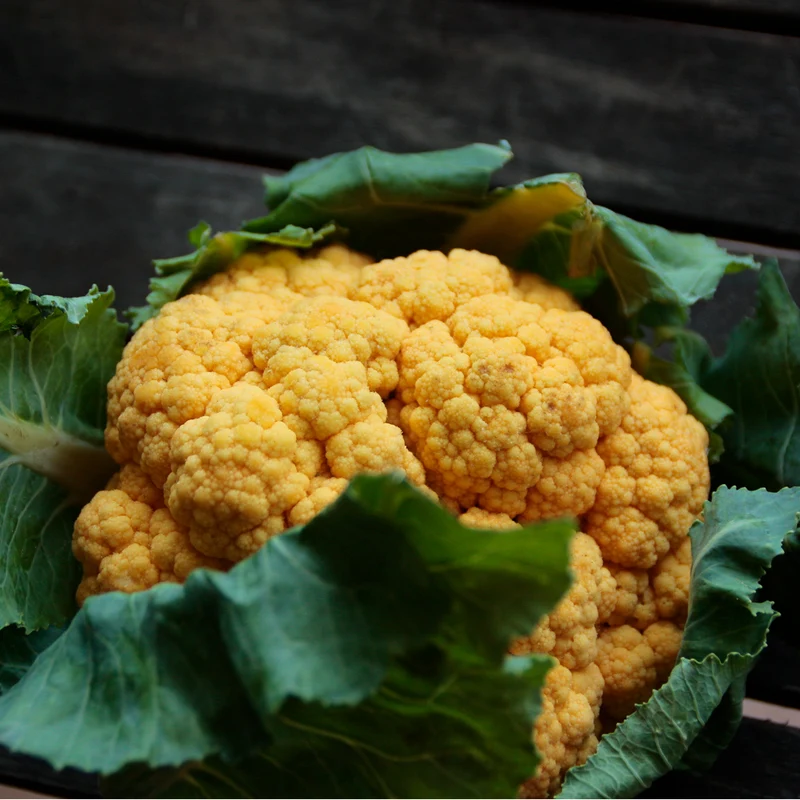 Plantón Coliflor Naranja - PlantaBo