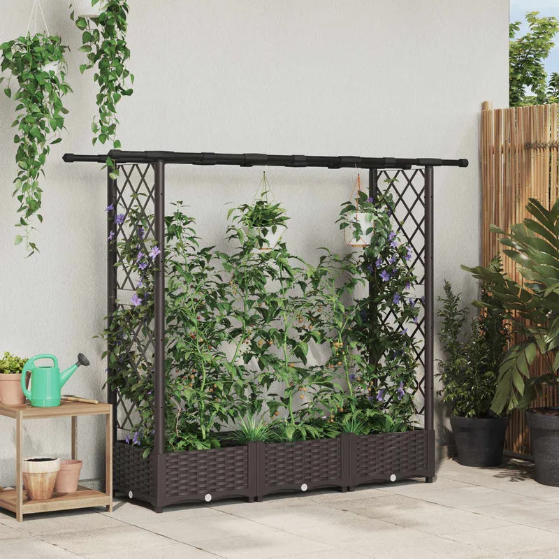 Cama Elevada Con Trellis Y Techo Marrón 164 X 40 X 121 Cm Pp