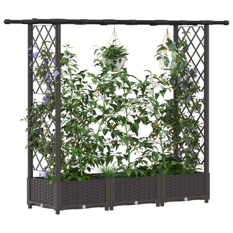 Cama Elevada Con Trellis Y Techo Marrón 164 X 40 X 121 Cm Pp