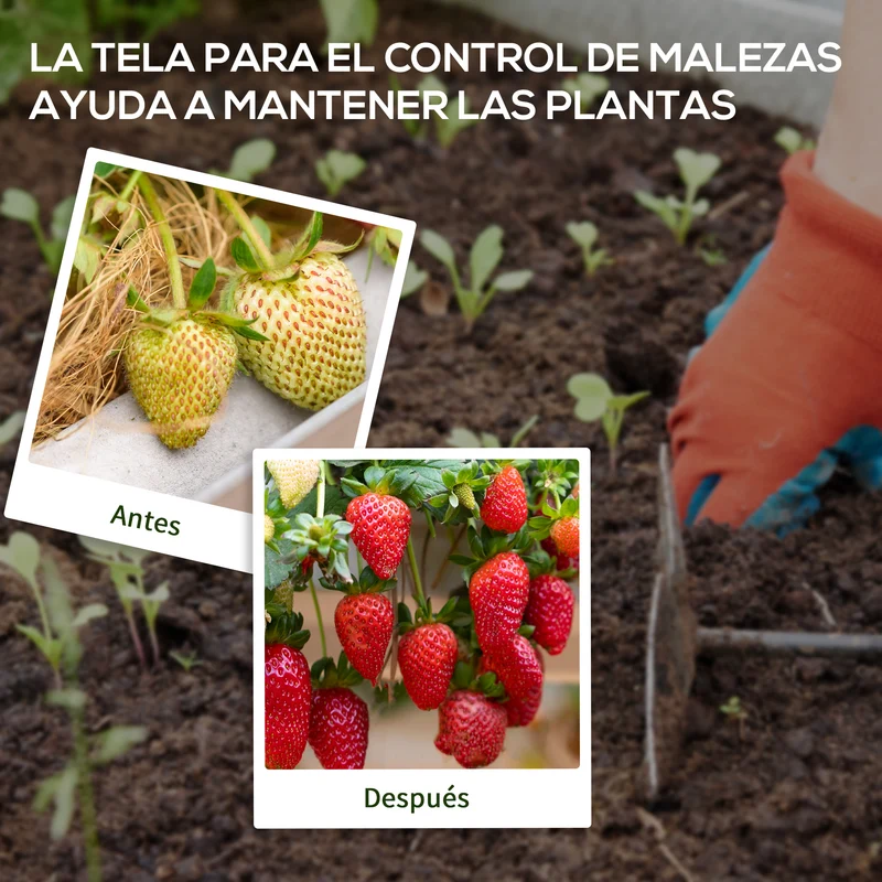 Outsunny Malla Antimaleza 1x100 M 60 G/m² Para Control De Malezas Malas Negro