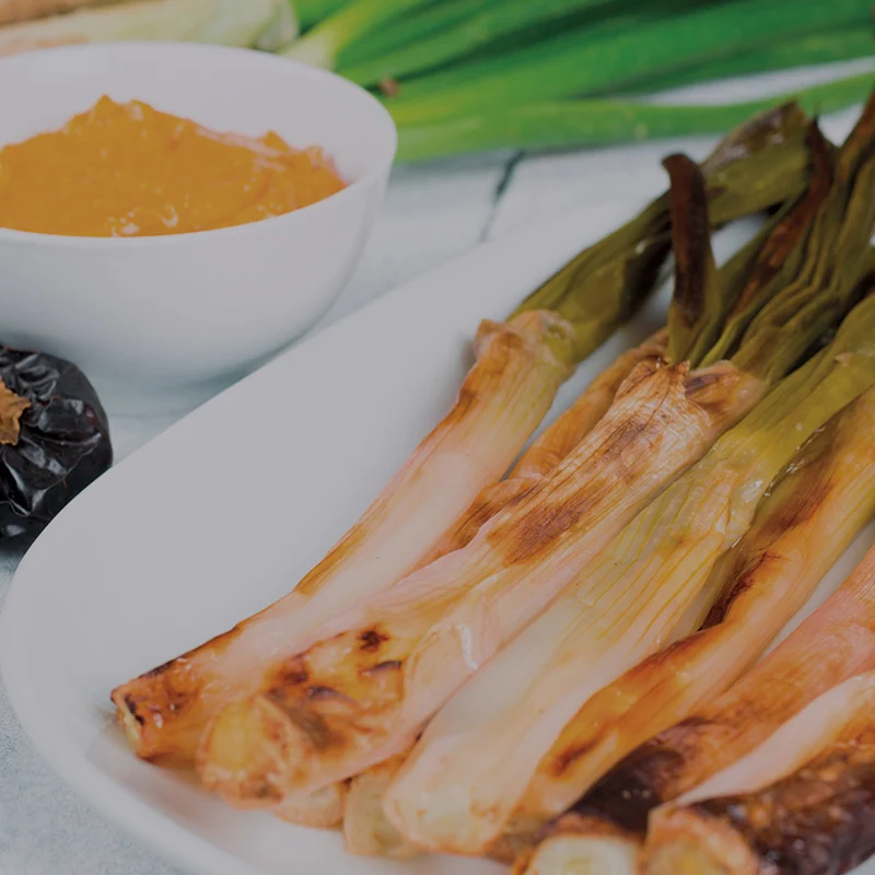 Kit Autocultivo Calçots Cultiva Cebollas Tiernas y Dulces en Casa - Resetea