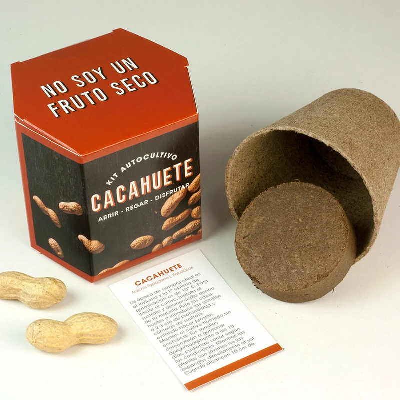 Kit Autocultivo Cacahuete | Cultiva tus Propios Peanuts en Casa | Regalo Divertido - Resetea