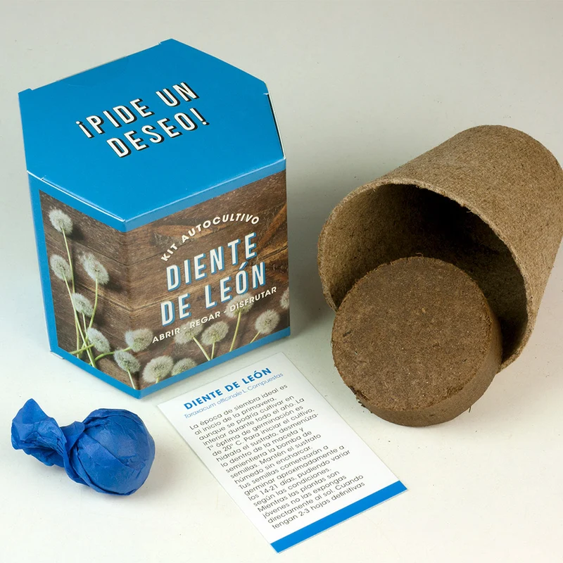 Kit Autocultivo Diente de León Cultiva Flores Amarillas en Casa | Regalo Educativo - Resetea