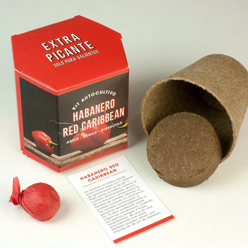 Kit Autocultivo Habanero Red Caribbean Pimiento Extra Picante 450.000 SHU - Resetea