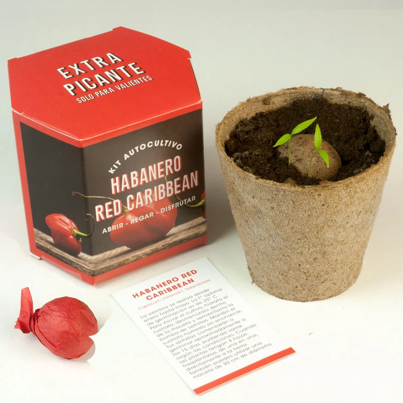 Kit Autocultivo Habanero Red Caribbean Pimiento Extra Picante 450.000 SHU - Resetea