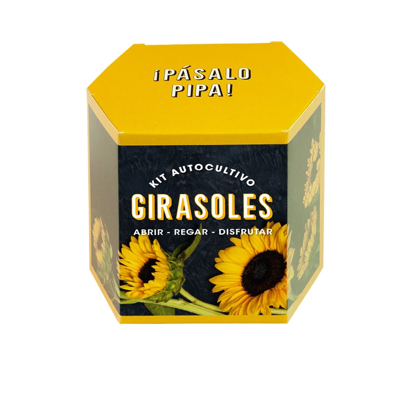Kit Autocultivo Girasoles Cultiva Flores Grandes y Luminosas en Casa - Resetea