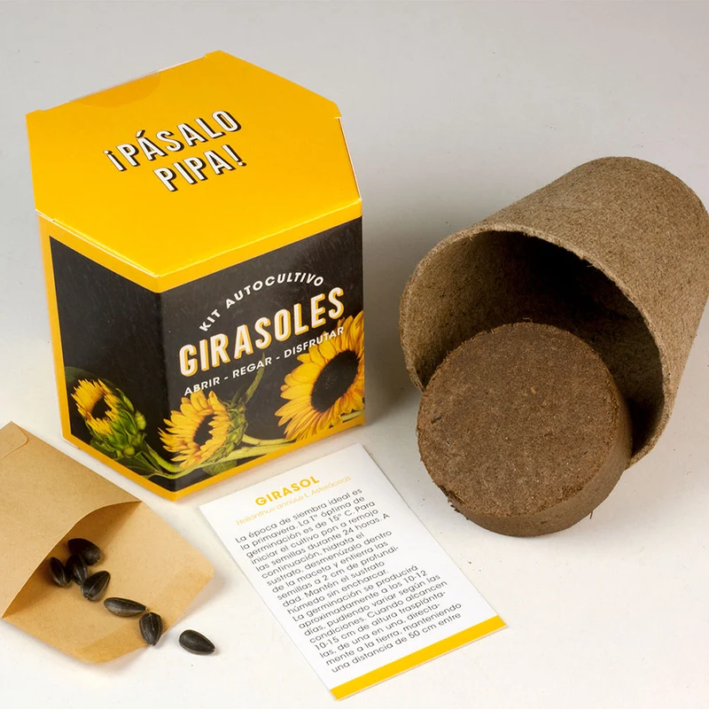 Kit Autocultivo Girasoles Cultiva Flores Grandes y Luminosas en Casa - Resetea