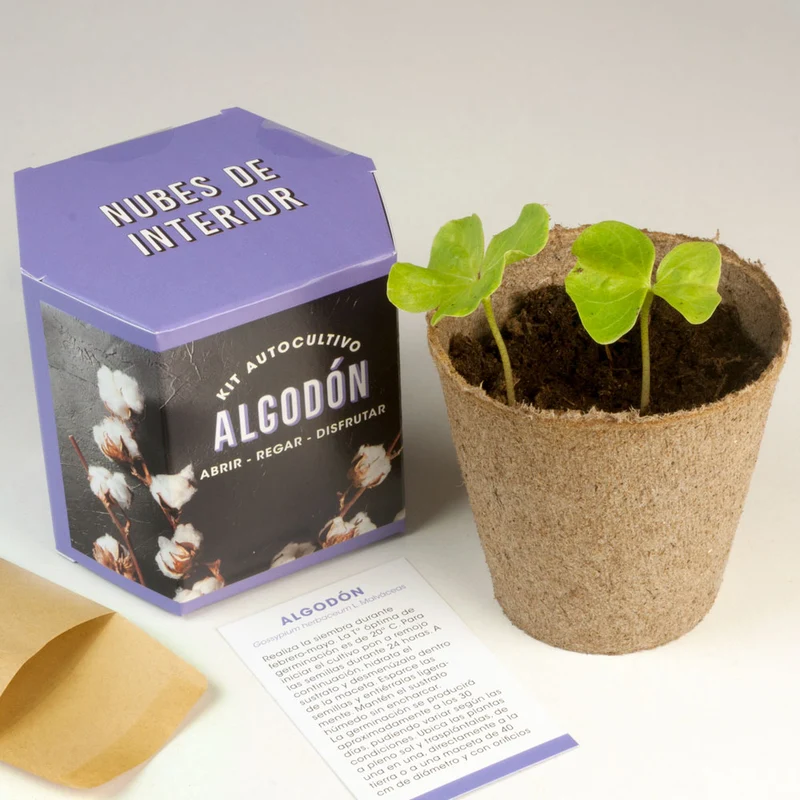 Kit Autocultivo de Algodón Cultiva tu Propia Planta en Casa | Regalo Original y Decorativo - Resetea