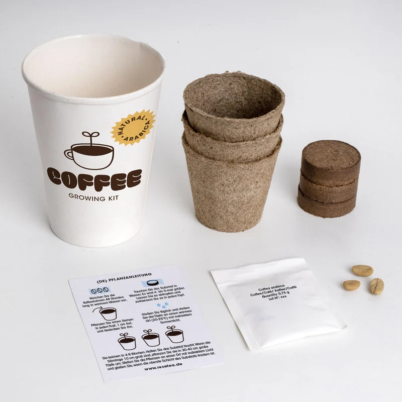 Kit de Cultivo de Café Arábica Cultiva tu Propio Cafeto en Casa | Regalo Original - Resetea