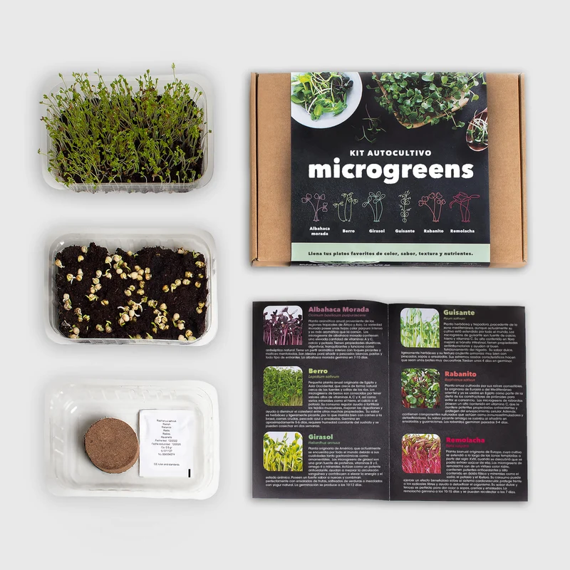 Kit Cultivo Microgreens Albahaca Morada, Berro, Girasol, Guisante, Rabanito y Remolacha - Resetea