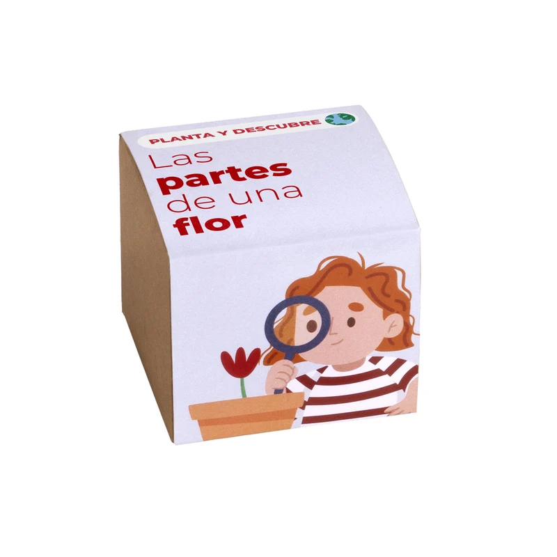 Planta y Descubre – Kit Educativo Partes de una Flor, Aprende Botánica para Niños (STEM) - Resetea
