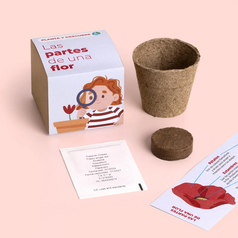 Planta y Descubre – Kit Educativo Partes de una Flor, Aprende Botánica para Niños (STEM) - Resetea