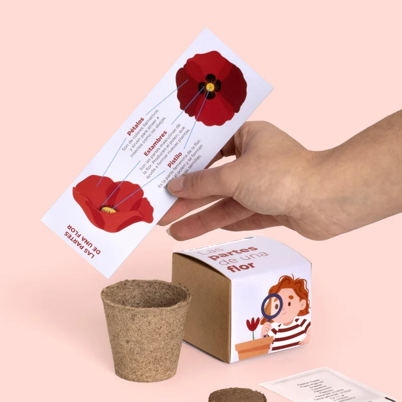 Planta y Descubre – Kit Educativo Partes de una Flor, Aprende Botánica para Niños (STEM) - Resetea