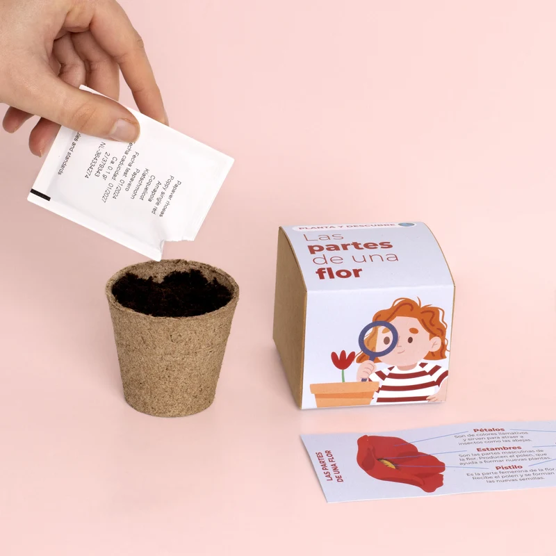 Planta y Descubre – Kit Educativo Partes de una Flor, Aprende Botánica para Niños (STEM) - Resetea