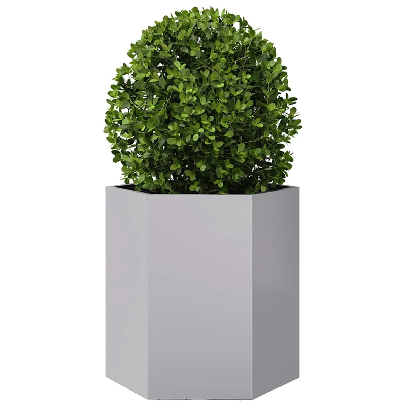 Jardineras Hexagonales 2 Uds Acero Inoxidable 46x40x45 Cm