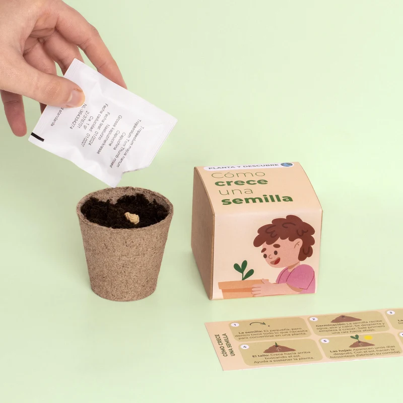 Planta y Descubre – Kit Germinación para Niños, Aprende Cómo Crece una Semilla (STEM) - Resetea