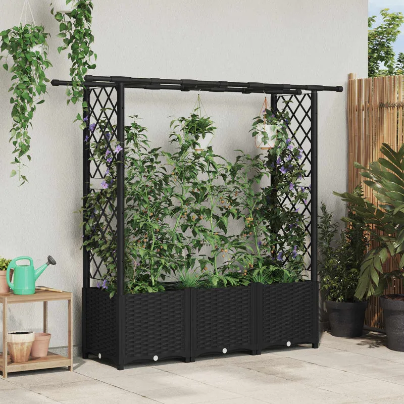 Cama Elevada Con Trellis Y Techo Negro 162,5 X 40 X 136 Cm Pp