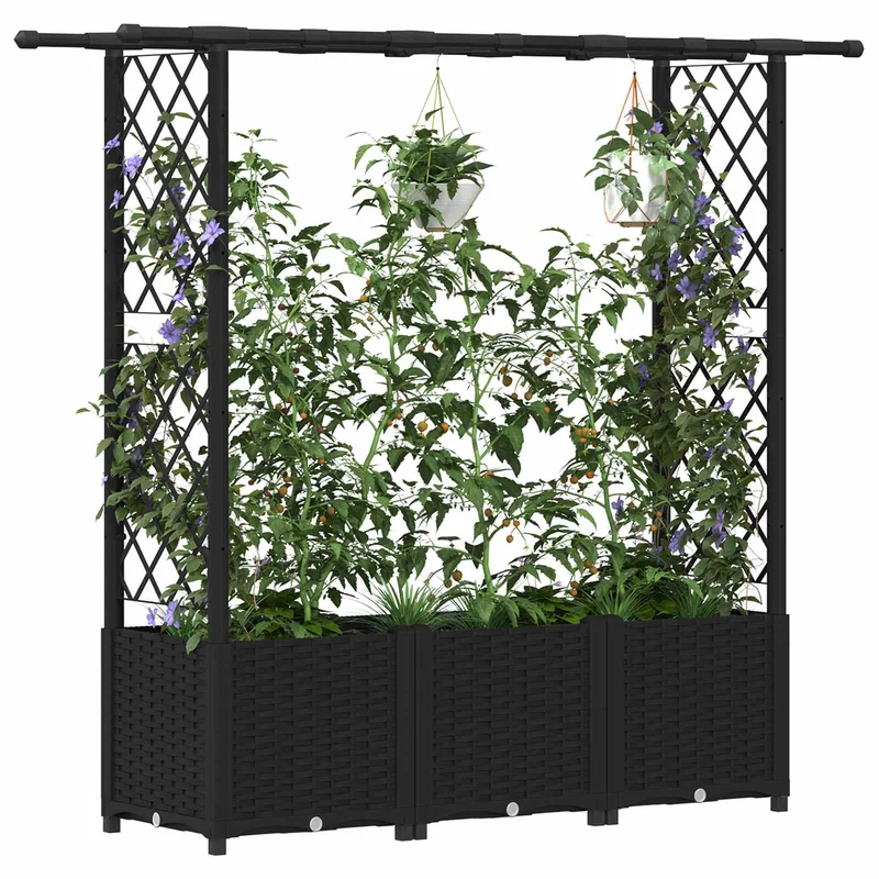 Cama Elevada Con Trellis Y Techo Negro 162,5 X 40 X 136 Cm Pp