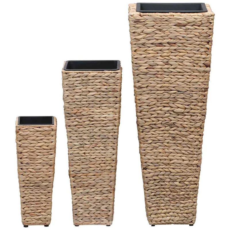 Conjunto De Arriates 3 Piezas Jacinto De Agua Marrón