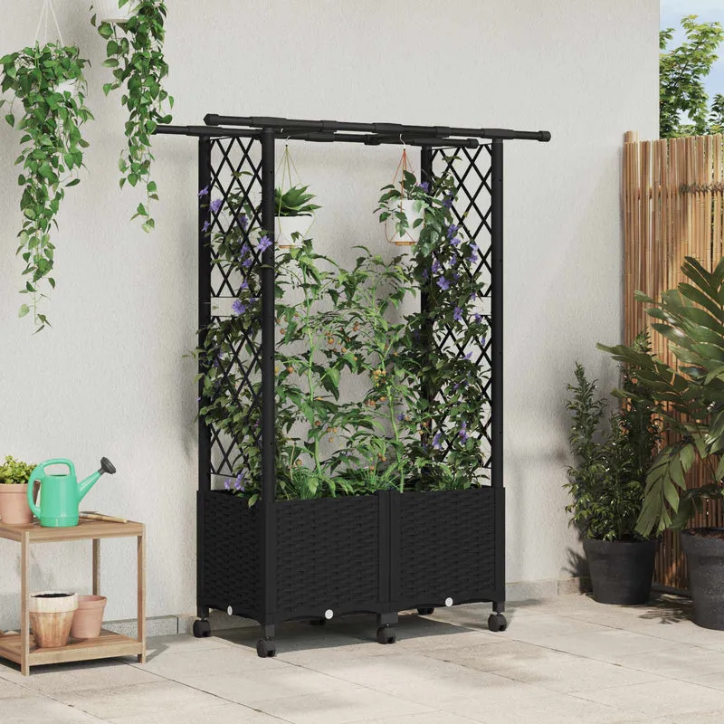 Cama Elevada Con Trellis Y Techo Negro 124,5 X 40 X 142 Cm Pp