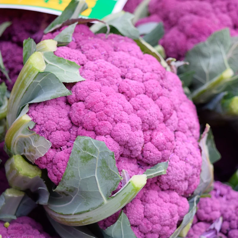 Plantón Coliflor Morada - PlantaBo