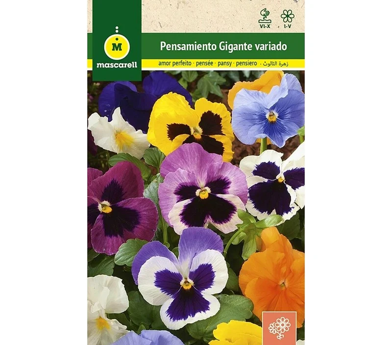Semillas Pensamiento Gigante Variado (viola Tricolor)