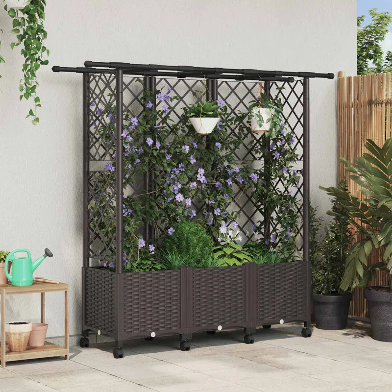 Cama Elevada Con Trellis Y Techo Marrón 163,5 X 40 X 142 Cm Pp