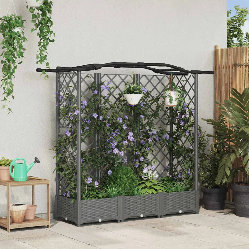 Cama Elevada Con Trellis Y Techo Gris Claro 163 X 40 X 123 Cm