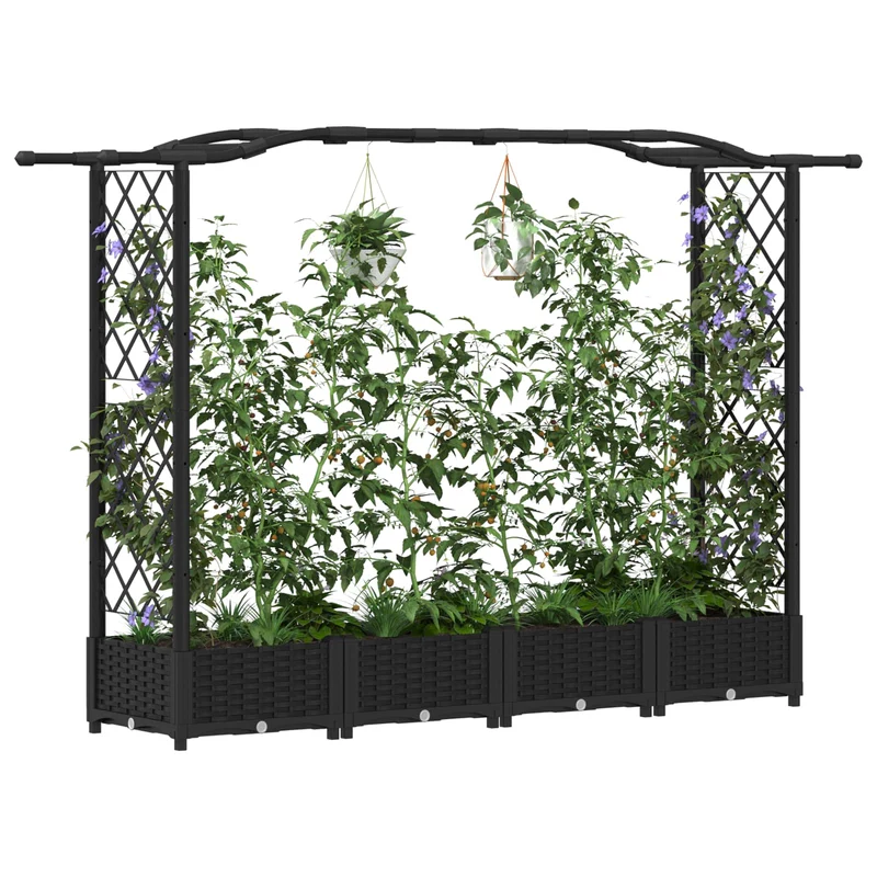 Cama Elevada Con Trellis Y Techo Negro 207 X 40 X 123 Cm Pp