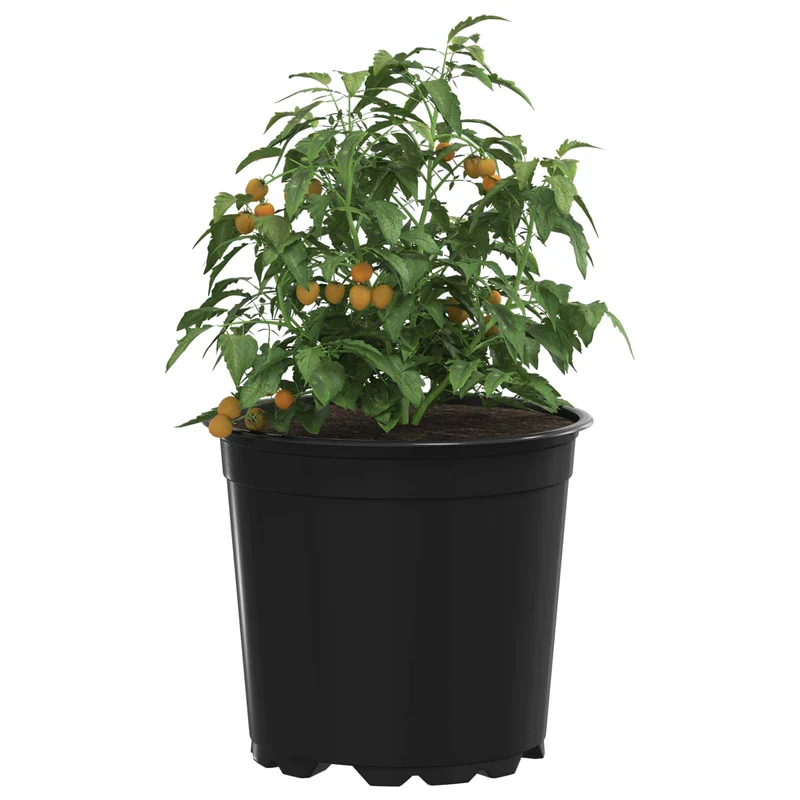 Maceta Redonda Para Flores 100 Uds. Negro Ø 15 X 13 Cm Plástico