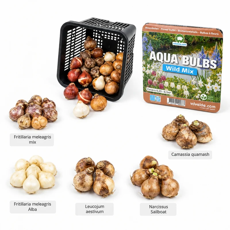 Aqua Bulbs Mezcla Silvestre - Flores Para Insectos Y Biodiversidad