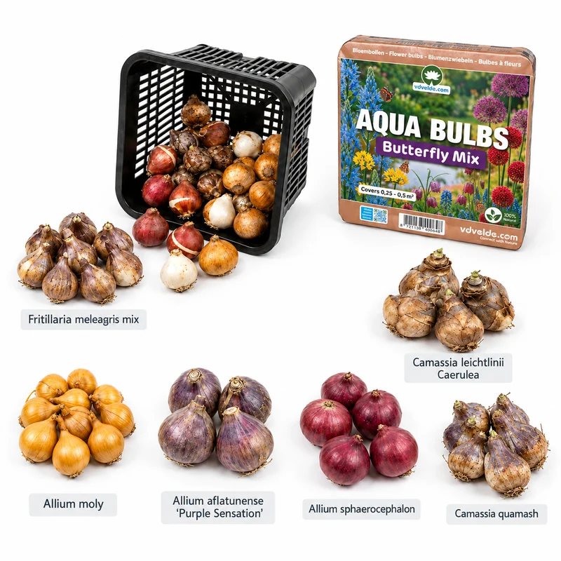 Aqua Bulbs Mezcla Para Mariposas - Especialmente Atractiva Para Mariposas