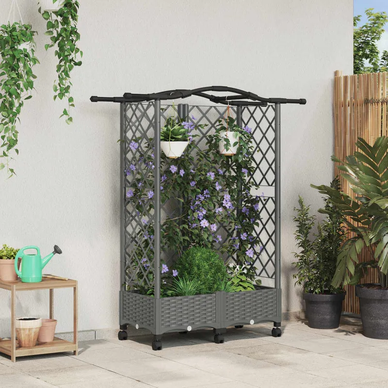 Cama Elevada Con Trellis Y Techo Gris Claro 124 X 40 X 129 Cm