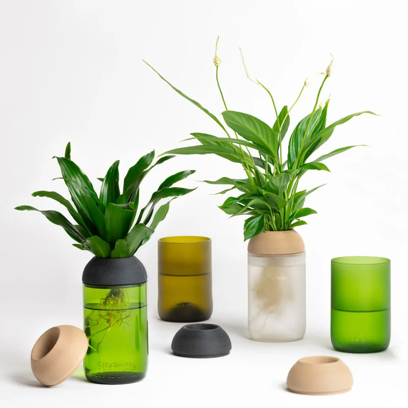 Macetero Transparente Citysens Con Soporte De Ébano – Verde, Vidrio Reutilizado Y Biofilamento De Madera 3d