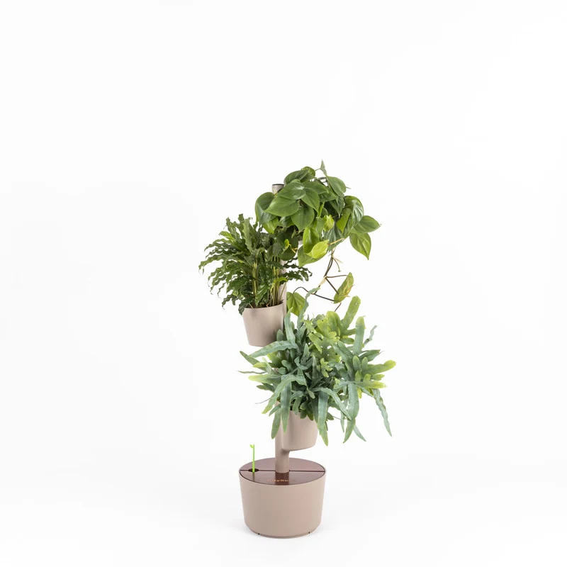 Huerto Vertical De Interior Citysens Con Riego Manual De 3 Macetas – Color Corteza De Pino