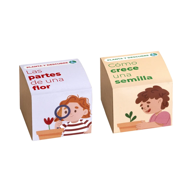 Pack 5 Kits de Cultivo Educativos Stem y Montessori | Regalo Didáctico para Niños - Resetea