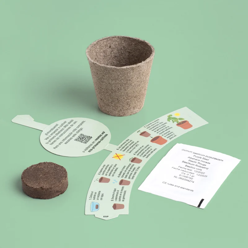 Pack 5 Kits de Cultivo Educativos Stem y Montessori | Regalo Didáctico para Niños - Resetea