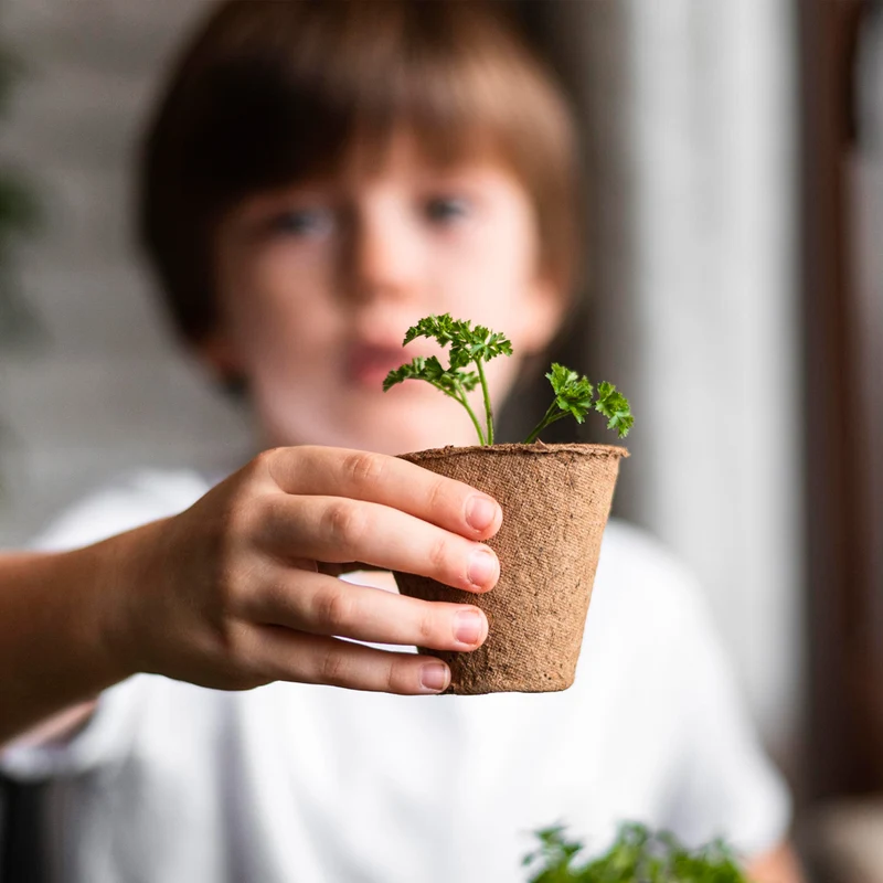 Pack 5 Kits de Cultivo Educativos Stem y Montessori | Regalo Didáctico para Niños - Resetea
