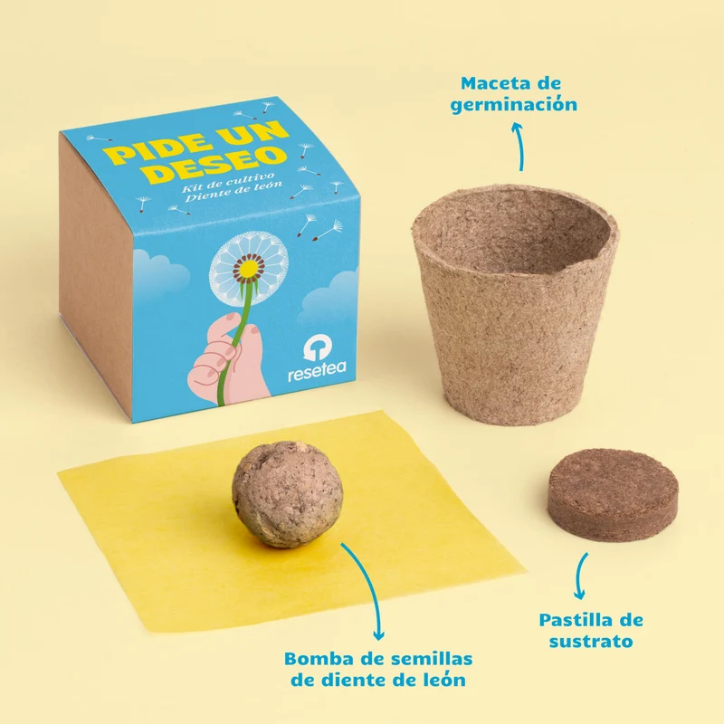 Pide un Deseo - Kit de Cultivo Diente de León con Semillas, Maceta y Sustrato, Regalo - Resetea