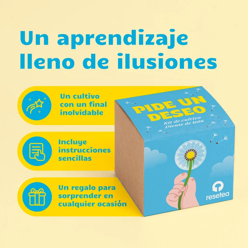 Pide un Deseo - Kit de Cultivo Diente de León con Semillas, Maceta y Sustrato, Regalo - Resetea
