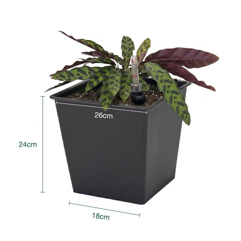 Maceta Con Autorriego De Polipropileno 16 L 26x26x24 Cm Hortalia