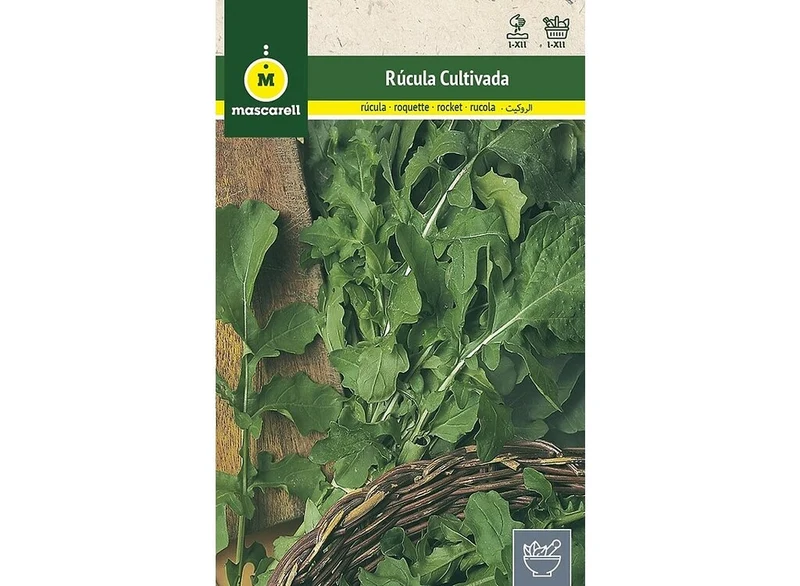 Semillas Rúcula Cultivada